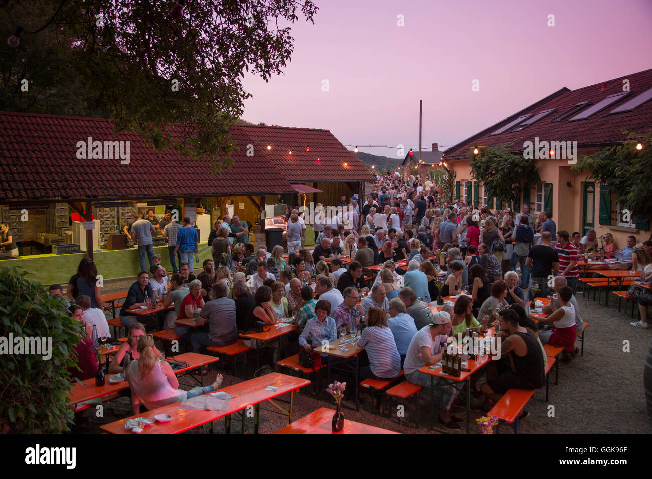 La gente seduta fuori cantina Dahms durante un Weinfest an der Peterstirn, Schweinfurt, Franconia, Baviera, Germania Foto Stock