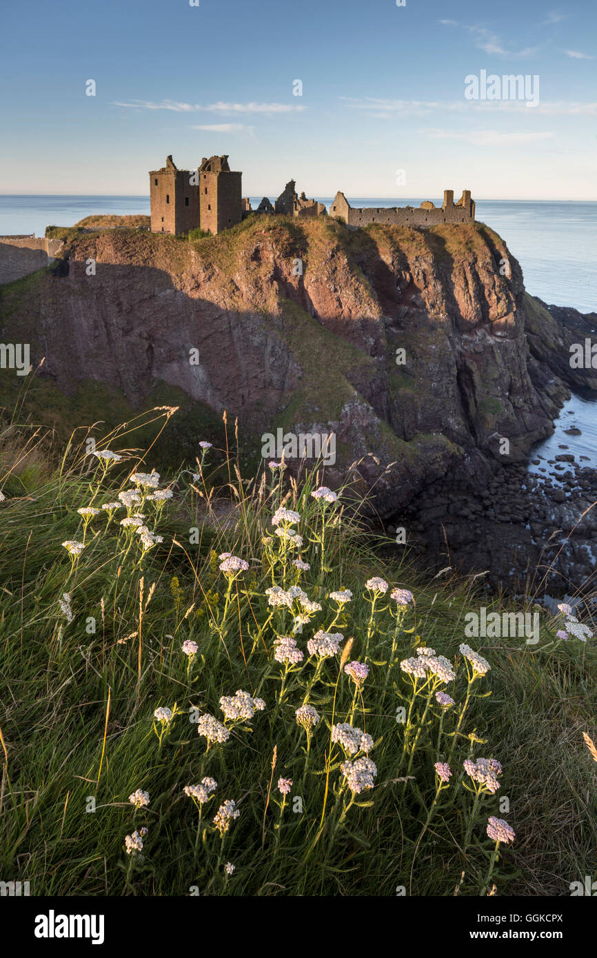 Castello di Dunnottar di Stonehaven, Aberdeenshire, Scotland, Regno Unito Foto Stock