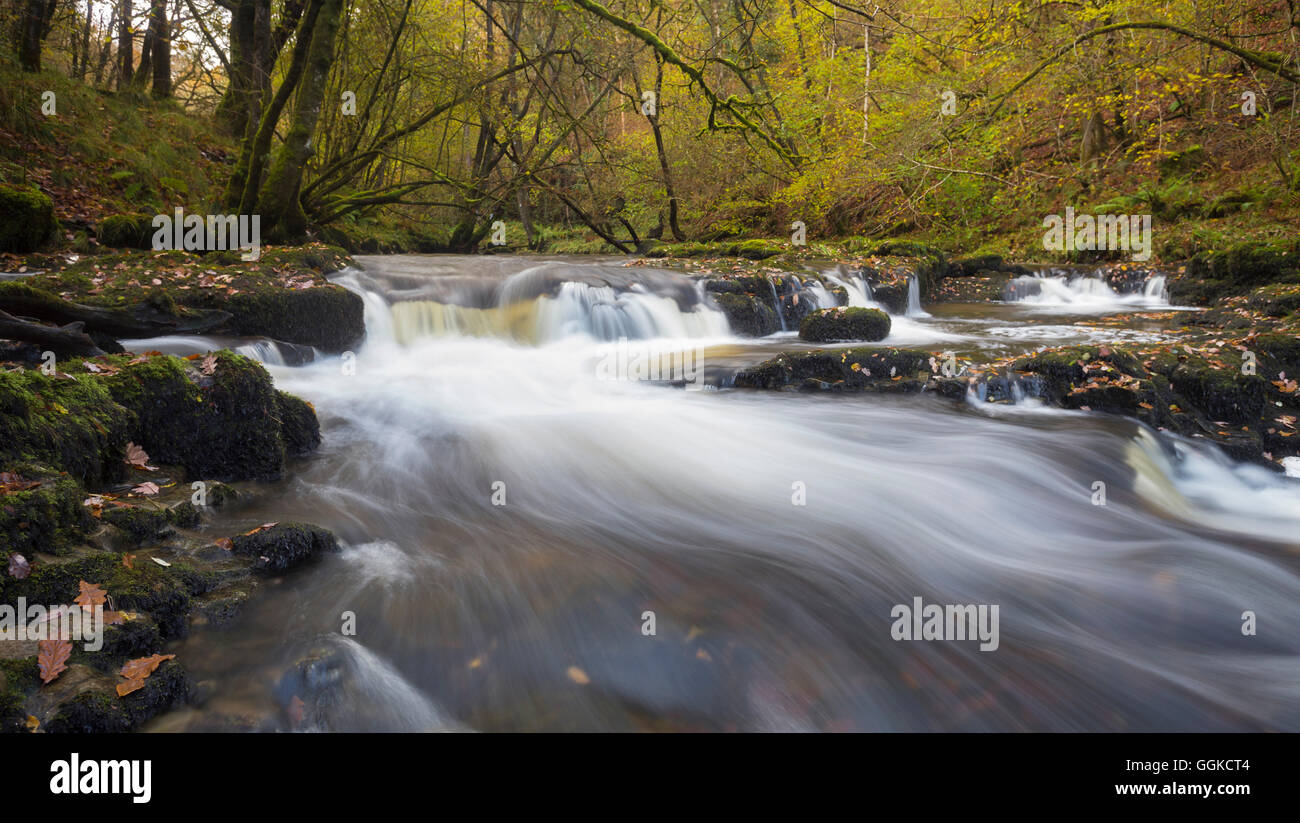 Pontneddfechan, vale di Neath, Powys, Wales, Regno Unito Foto Stock