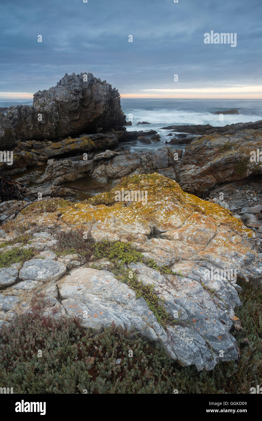 Costa rocciosa a Van Dyks Bay, Atlantico Western Cape, Sud Africa Foto Stock