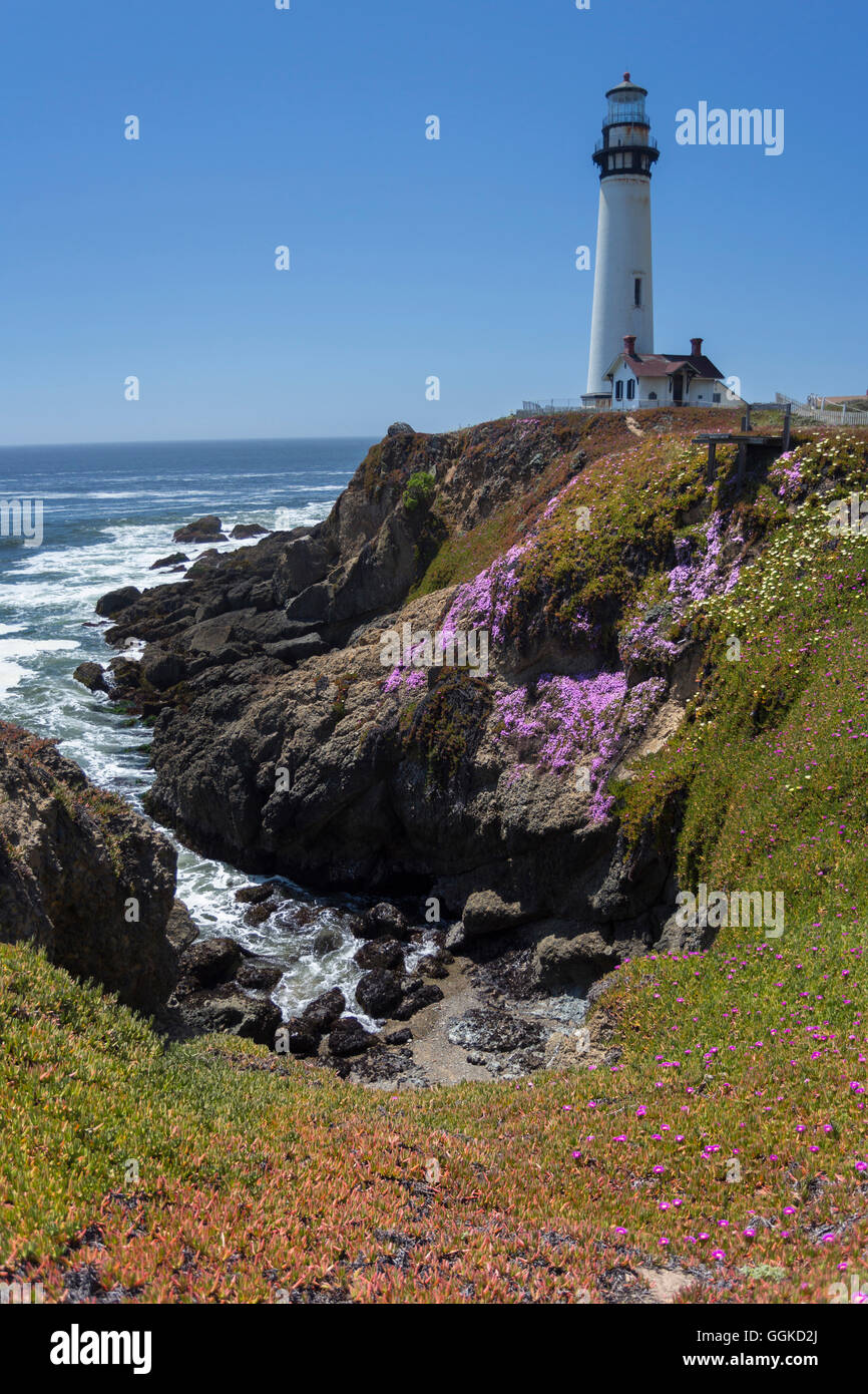 Pescadero, Pacific Coast Highway, Highway 1, nella costa occidentale del Pacifico, CALIFORNIA, STATI UNITI D'AMERICA Foto Stock