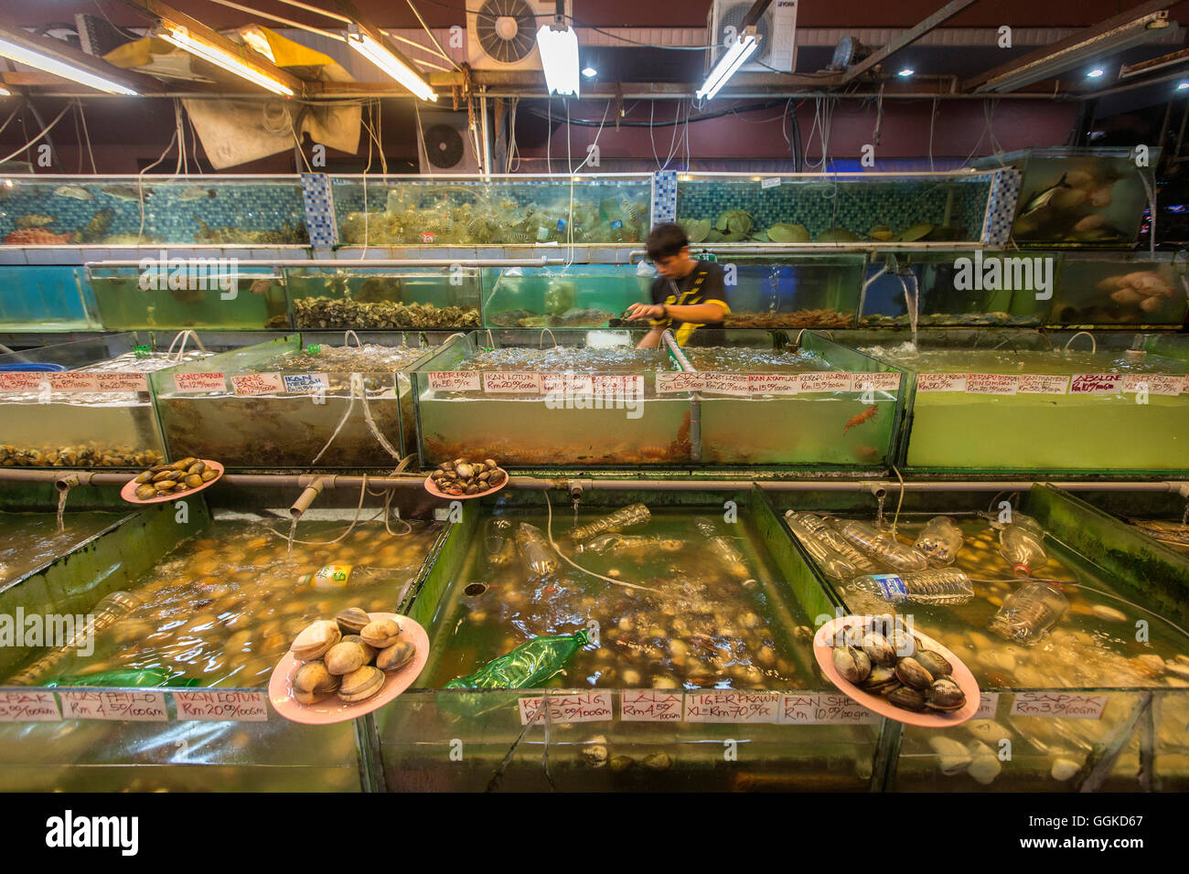 Serbatoi di pesce nel ristorante in Kota Kinabalu, Kota Kinabalu, Borneo Malese. Foto Stock