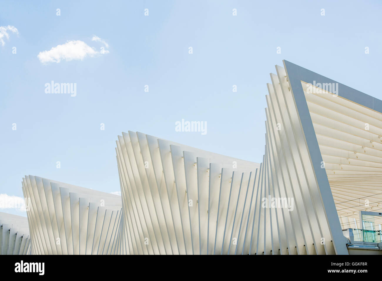 Alta velocità stazione ferroviaria Mediopadana, Santiago Calatrava, Reggio Emilia, Provinz Reggio Emilia, Italia Foto Stock