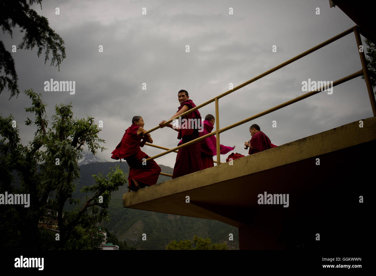 I monaci buddisti presso il Complesso Tsuglagkhang, McCleod Ganj Dharamsala, Himachal Pradesh, India. © Jordi Boixareu Foto Stock