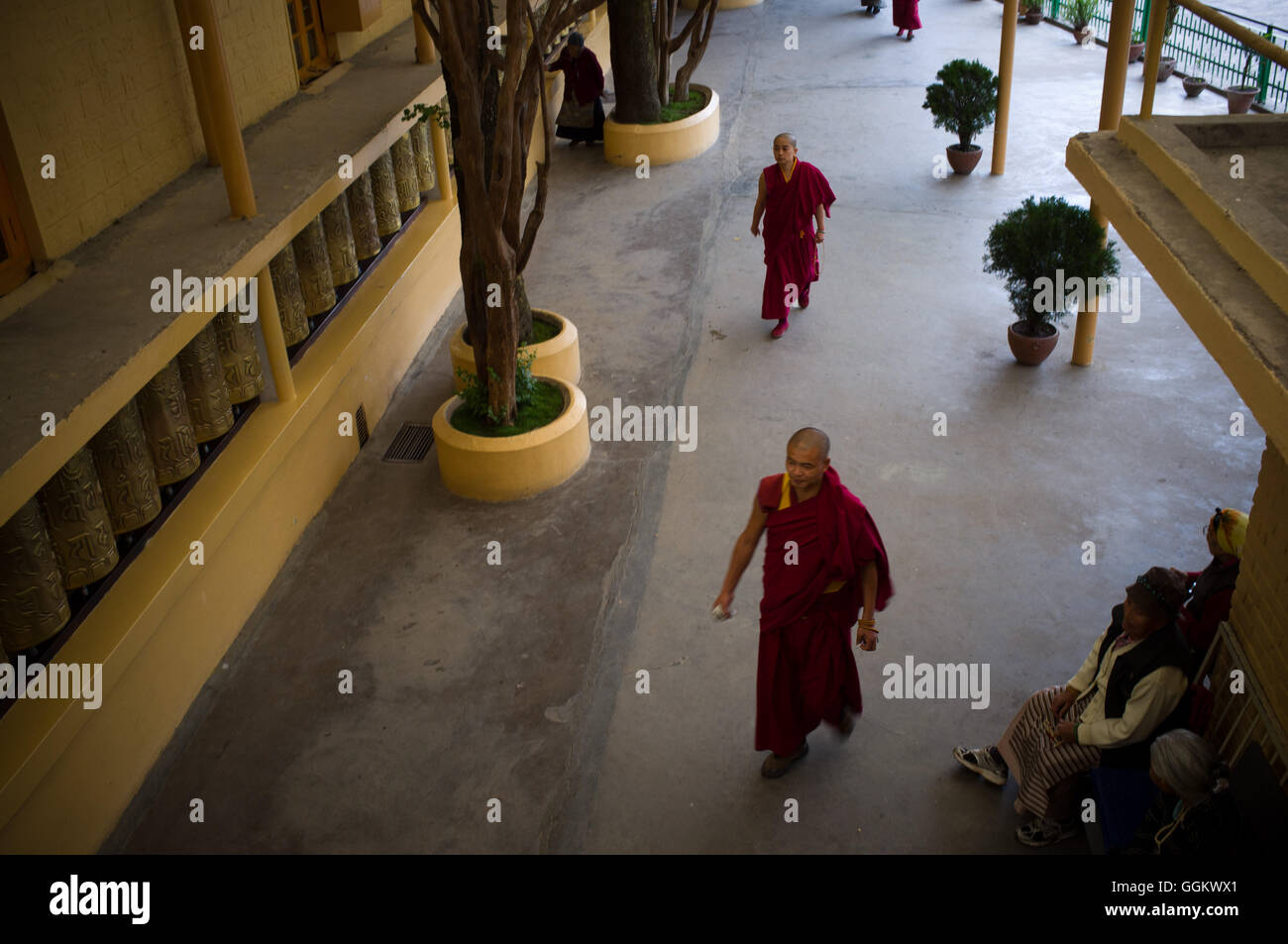 I monaci buddisti presso il Complesso Tsuglagkhang, McCleod Ganj Dharamsala, Himachal Pradesh, India. © Jordi Boixareu Foto Stock