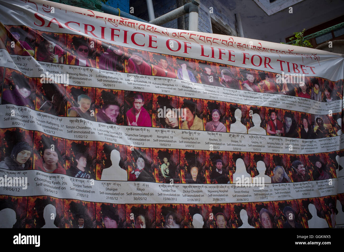 Immagini di auto-immolato pro Tibet gli attivisti hanno visto in Dharamsala, India. © Jordi Boixareu Foto Stock