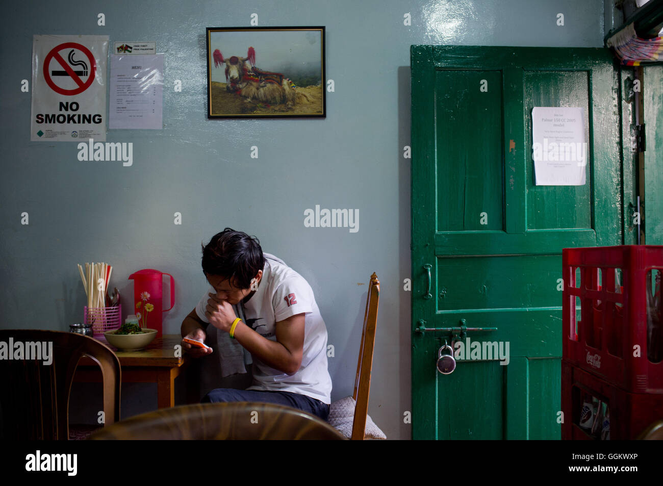Un giovane uomo controlla i telefono in un ristorante di Mcleod Ganj Dharamsala, Himachal Pradesh, India. © Jordi Boixareu Foto Stock