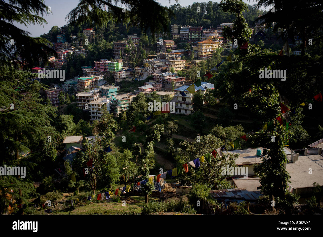 McLeod Ganj villaggio in Dharamsala, Himachal Pradesh, India. © Jordi Boixareu Foto Stock