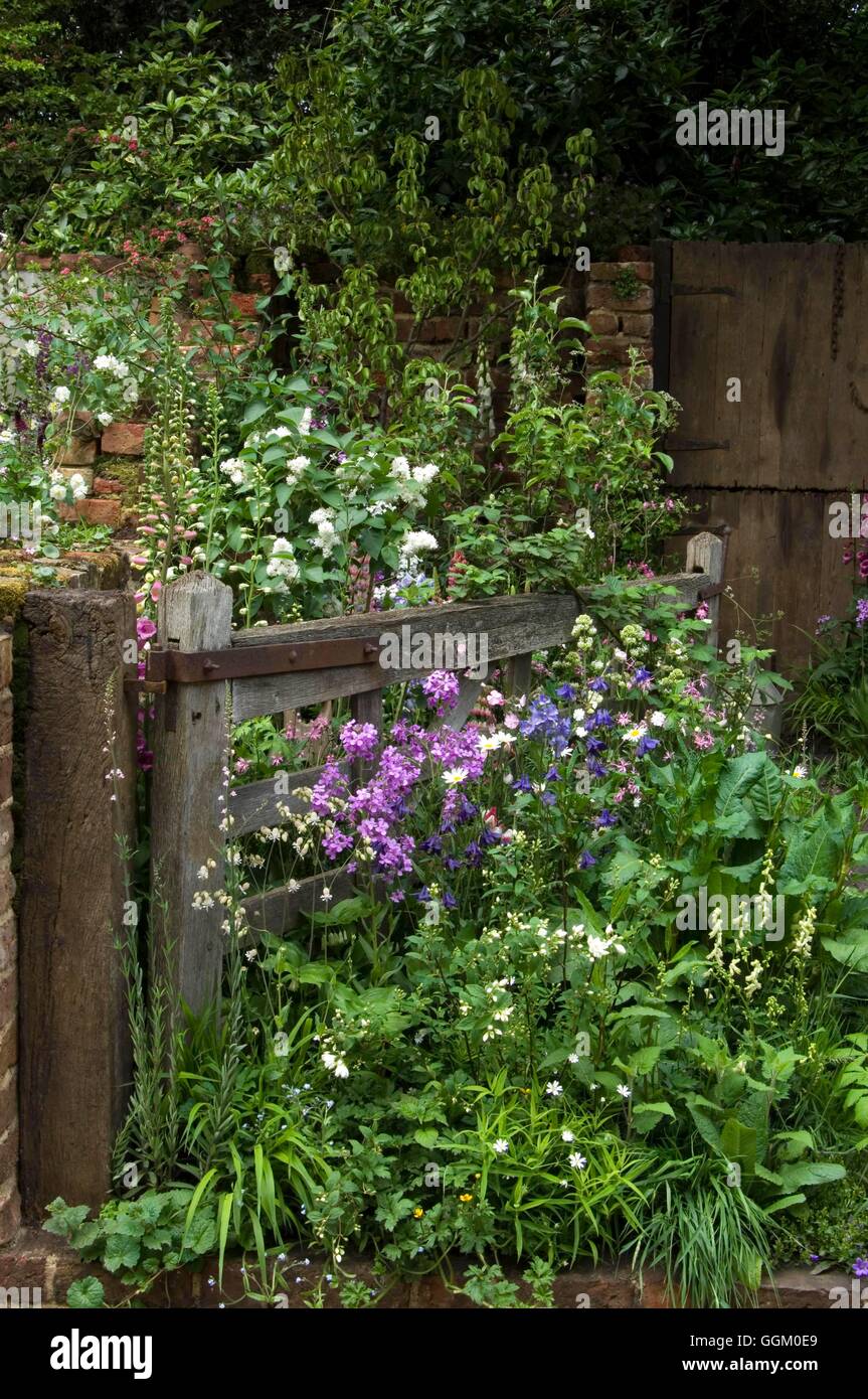 Garden Cottage- con fiori selvatici e piante perenni compresi Hesperis Aquilegia Linaria Digitalis e Syringa- - la vecchia porta g Foto Stock