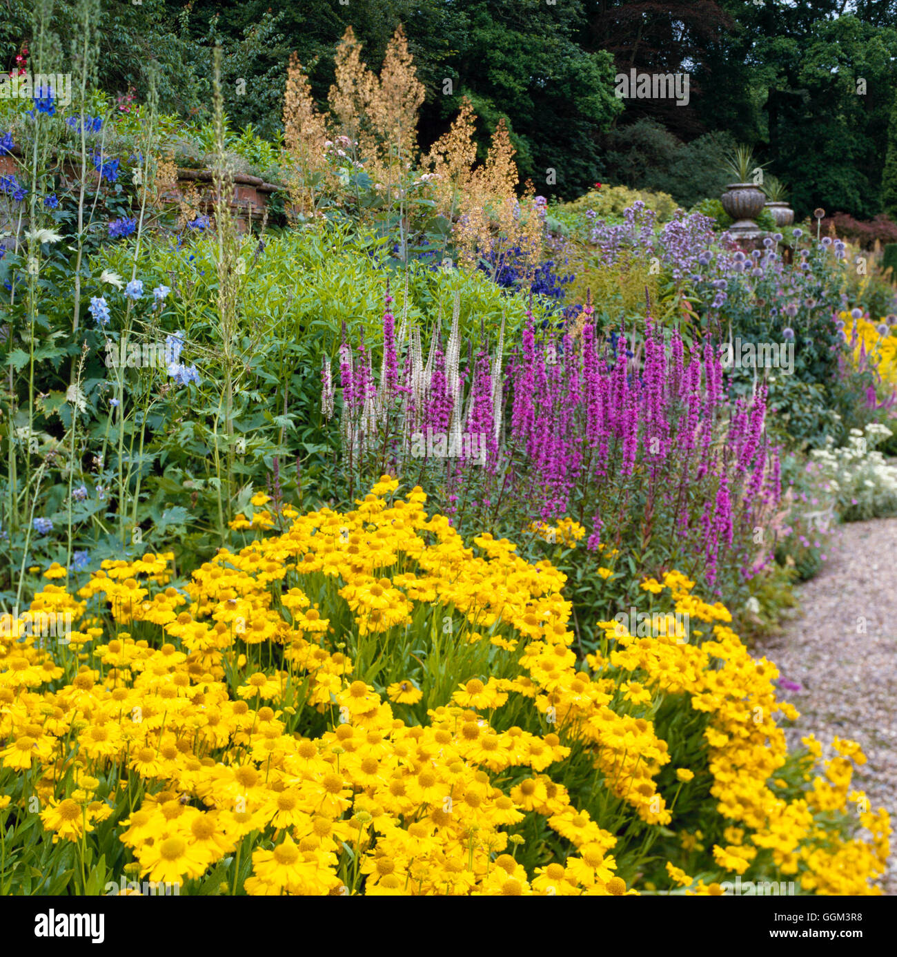 Frontiera perenne - a Blickling Hall NT Norfolk066083 PGN Foto Stock