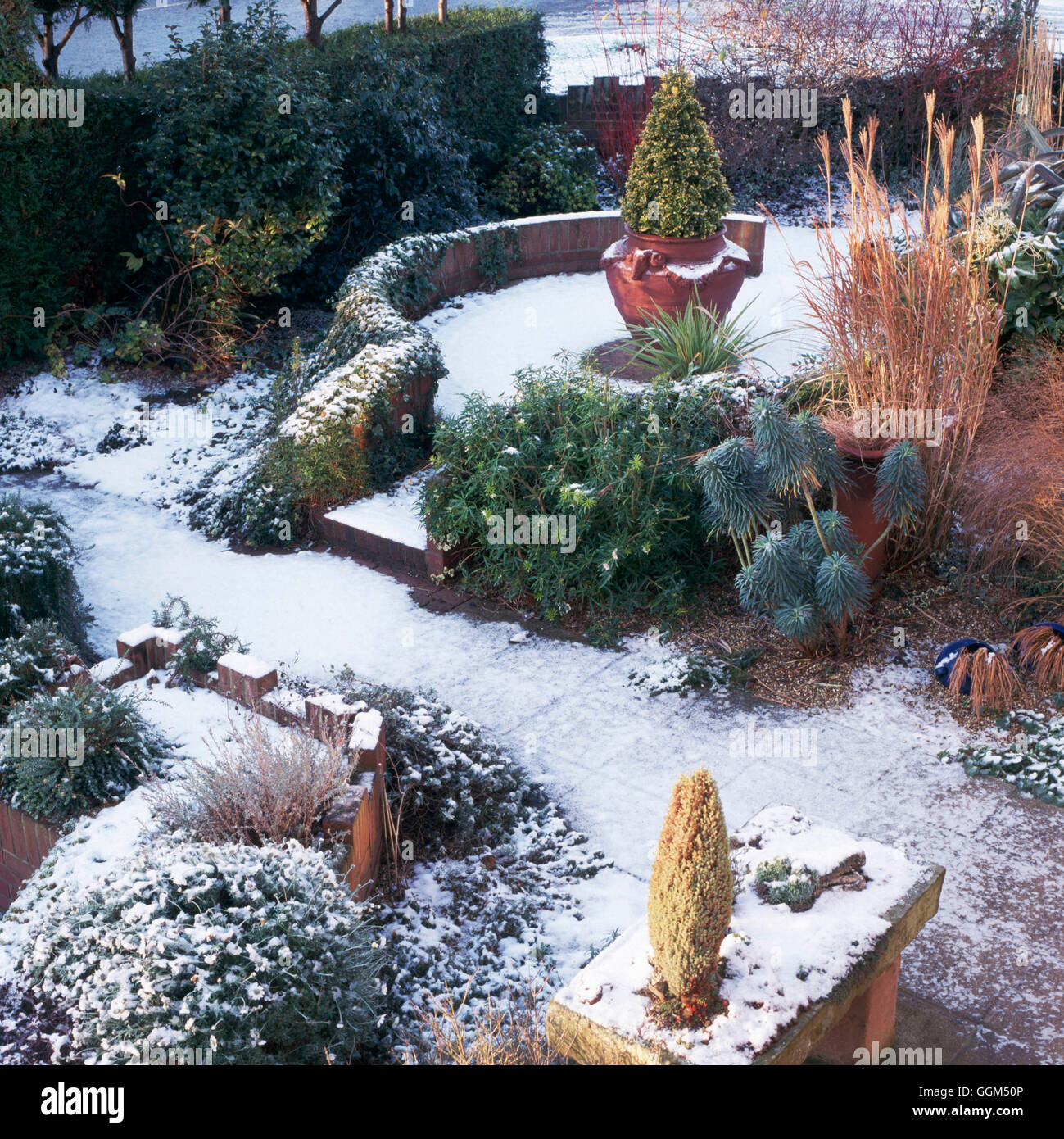 Scena di neve SSF086484 Foto Stock