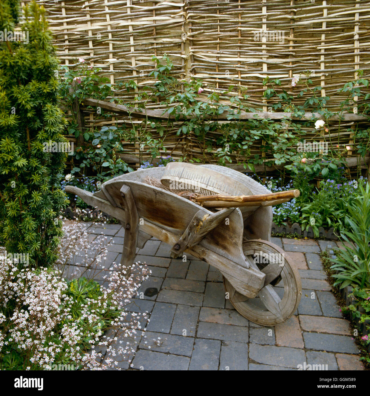 Attrezzature - Vecchia carriola e strumenti con tessuto recinzioni in background TAS008311 Foto Stock