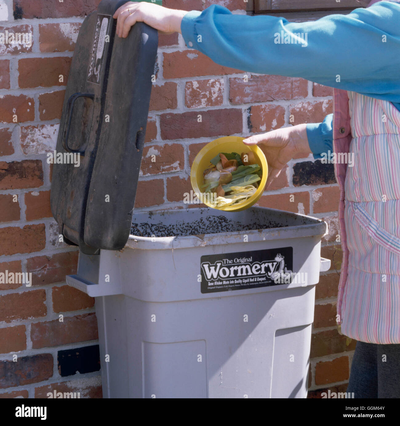 Il compost - Misc - Aggiunta di rifiuti di cucina per un Wormery TAS083537 Foto Stock