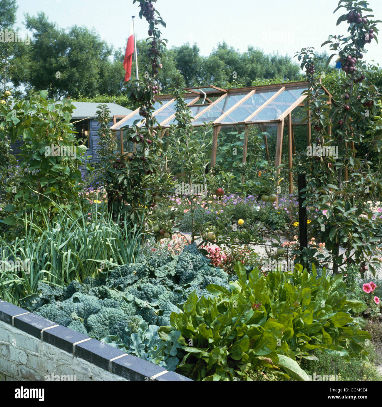 Verdure e frutta - Giardino con cordon meli Spinaci Savoy Porri ed i baccelli VFR obbligatoria045396 C Foto Stock