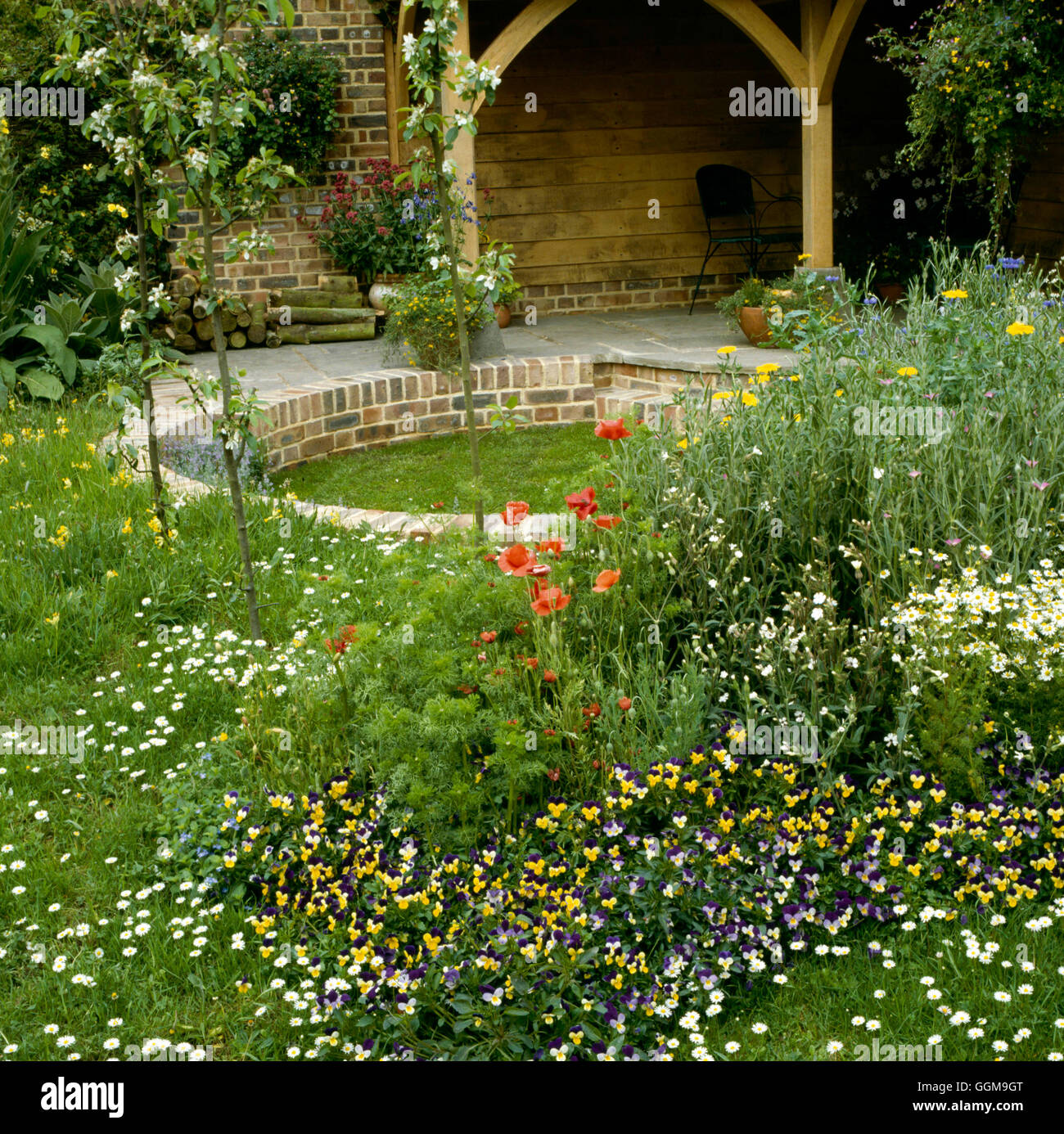 Wild Flower Garden - (John Chambers Chelsea 1991) WFL034853 Foto Stock