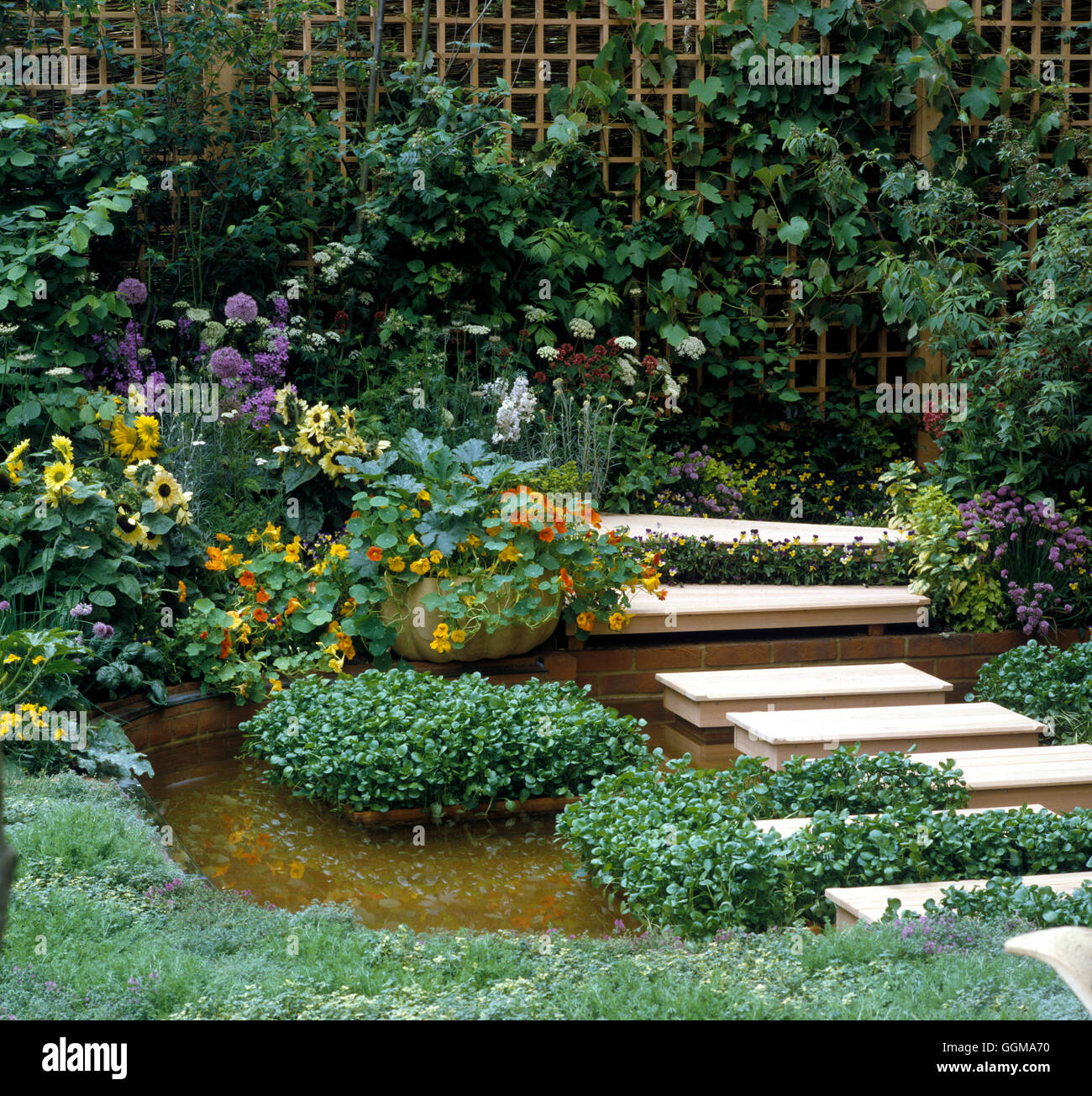 Il crescione da Vitacress insalate su 'Il giardino commestibile' presentano al Chelsea Flower Show 1994 Foto Stock
