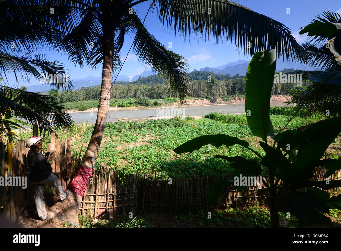 In Bang Xang vicino a Luang Prabang, Laos, Asia Foto Stock