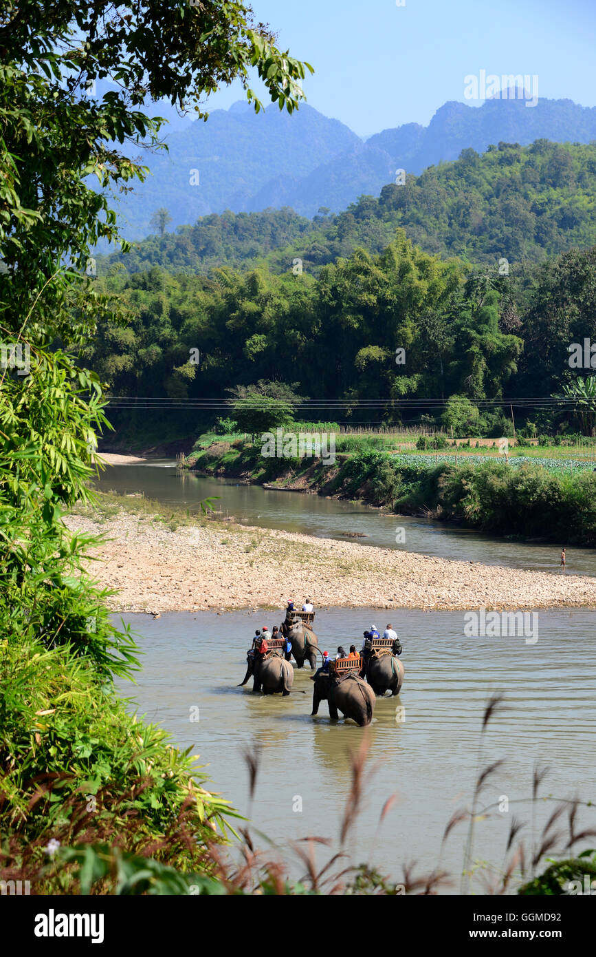 Villaggio degli Elefanti in Bang Xang vicino a Luang Prabang, Laos, Asia Foto Stock