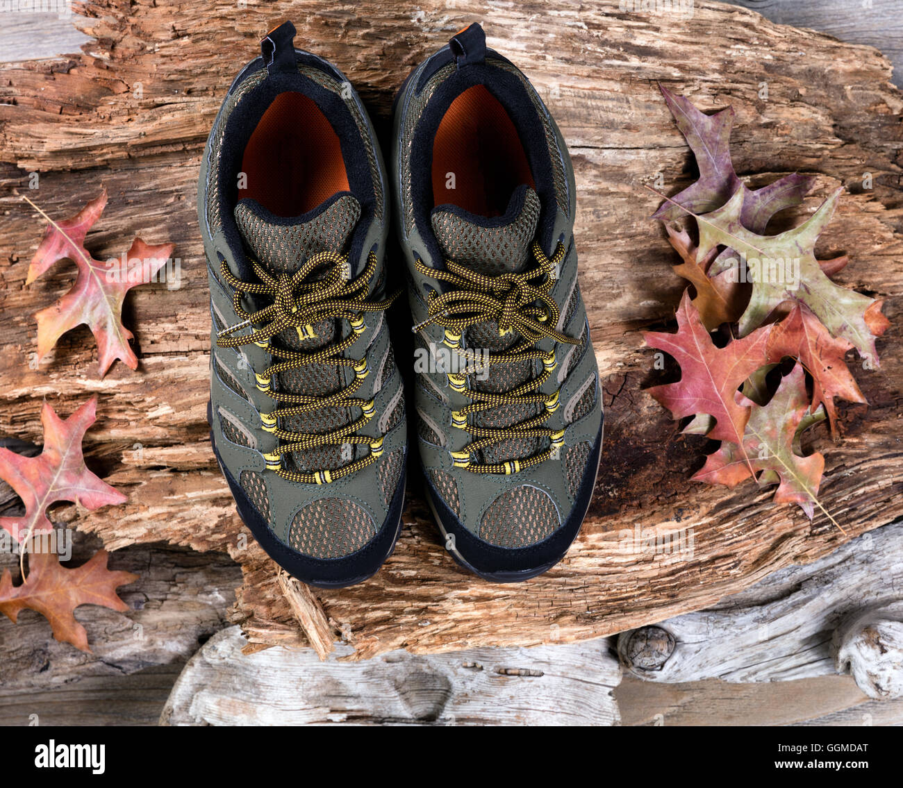 Vista dall'alto di nuove scarpe da escursionismo sul vecchio albero marcio Foto Stock