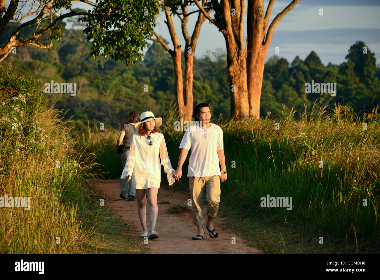 Sentiero Natura nel Parco Nazionale di Khao Yai, centro della thailandia, tailandia Foto Stock