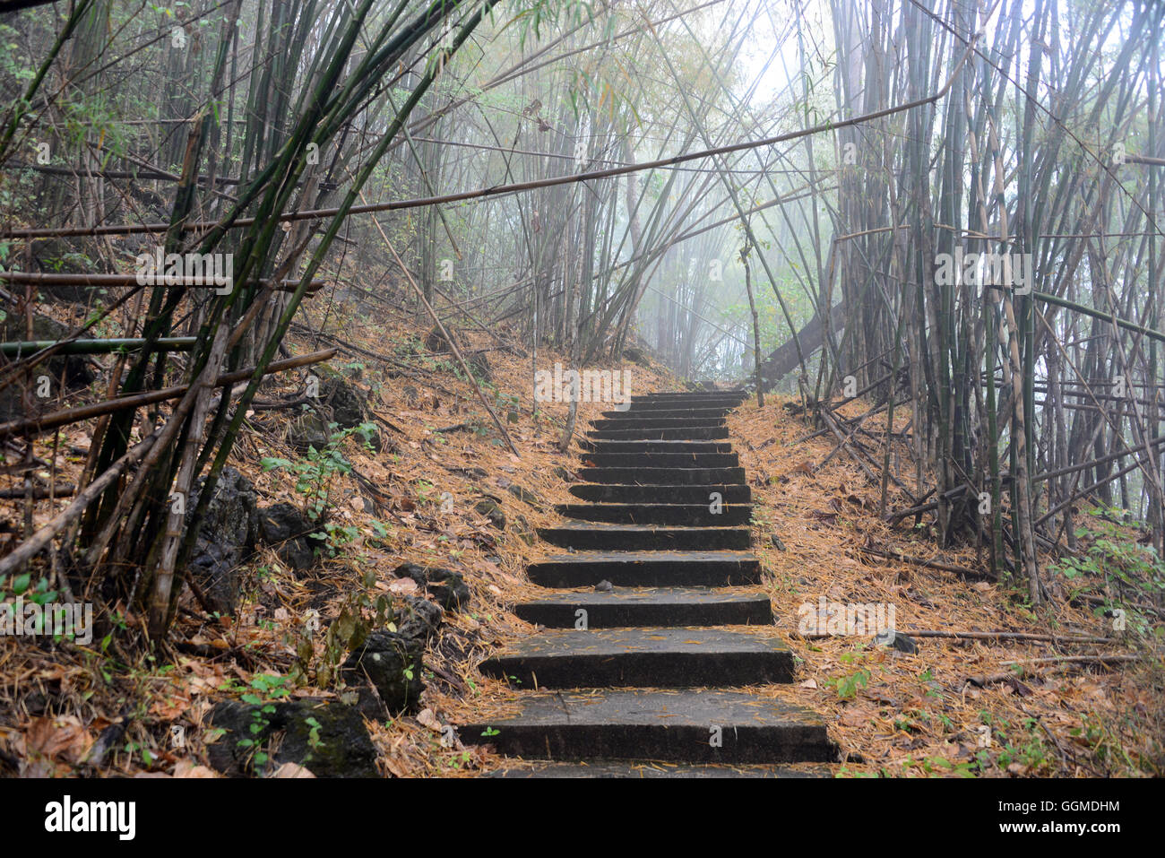 Percorso al Phra That grotta nel Parco Nazionale di Erawan vicino a Kanchanaburi Thailandia Foto Stock