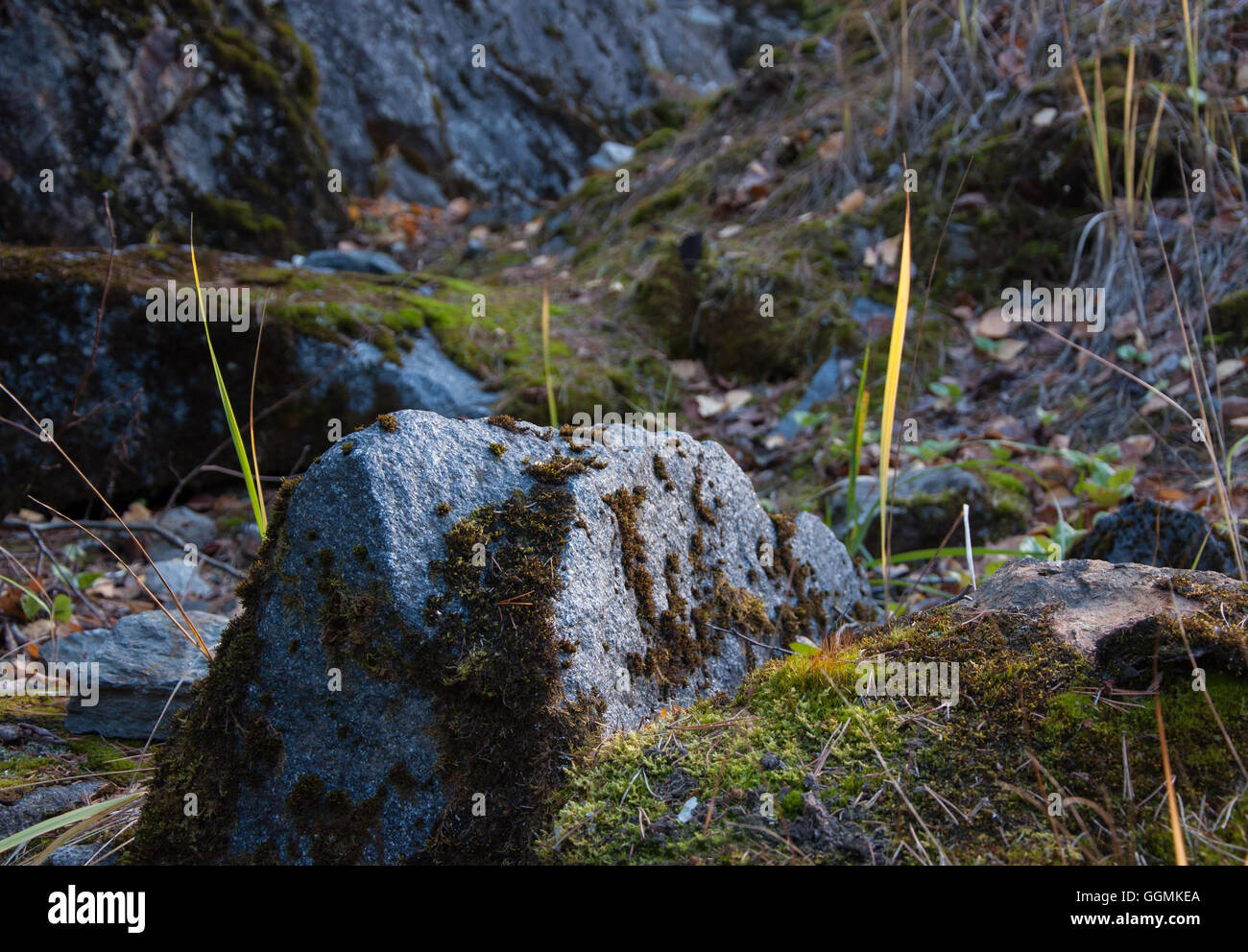 Grigio enormi massi che un tipico sfondo di ogni isola nel sud della regione della Carelia Repubblica Foto Stock