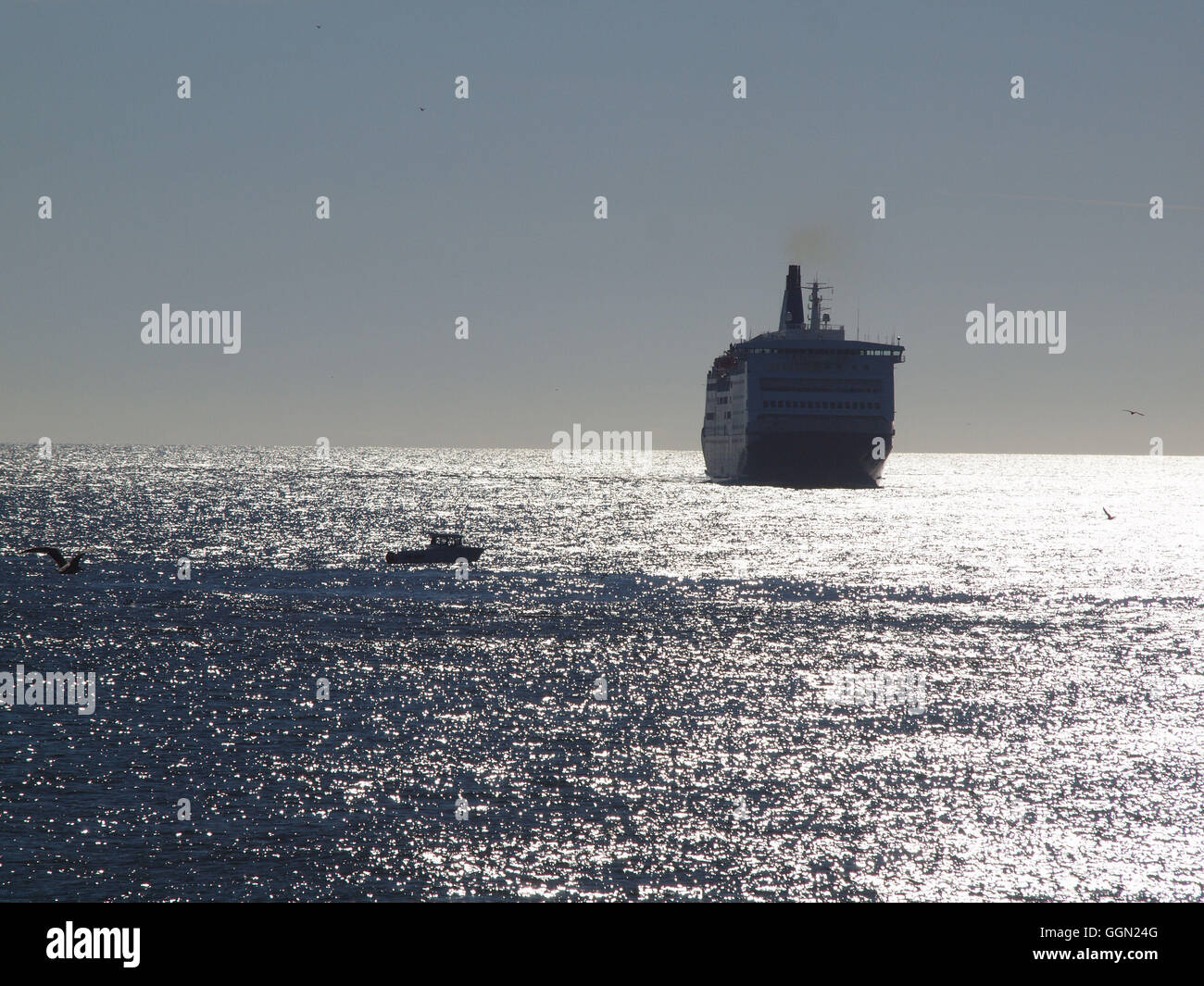 Newcastle Upon Tyne, 6 agosto 2016, UK Meteo. DFDS, il 31788T ''Re Seaways'' ferry stagliano contro il Rising Sun sul suo approccio al Porto di Tyne, North Tyneside. Credito: James Walsh Alamy/Live News Foto Stock