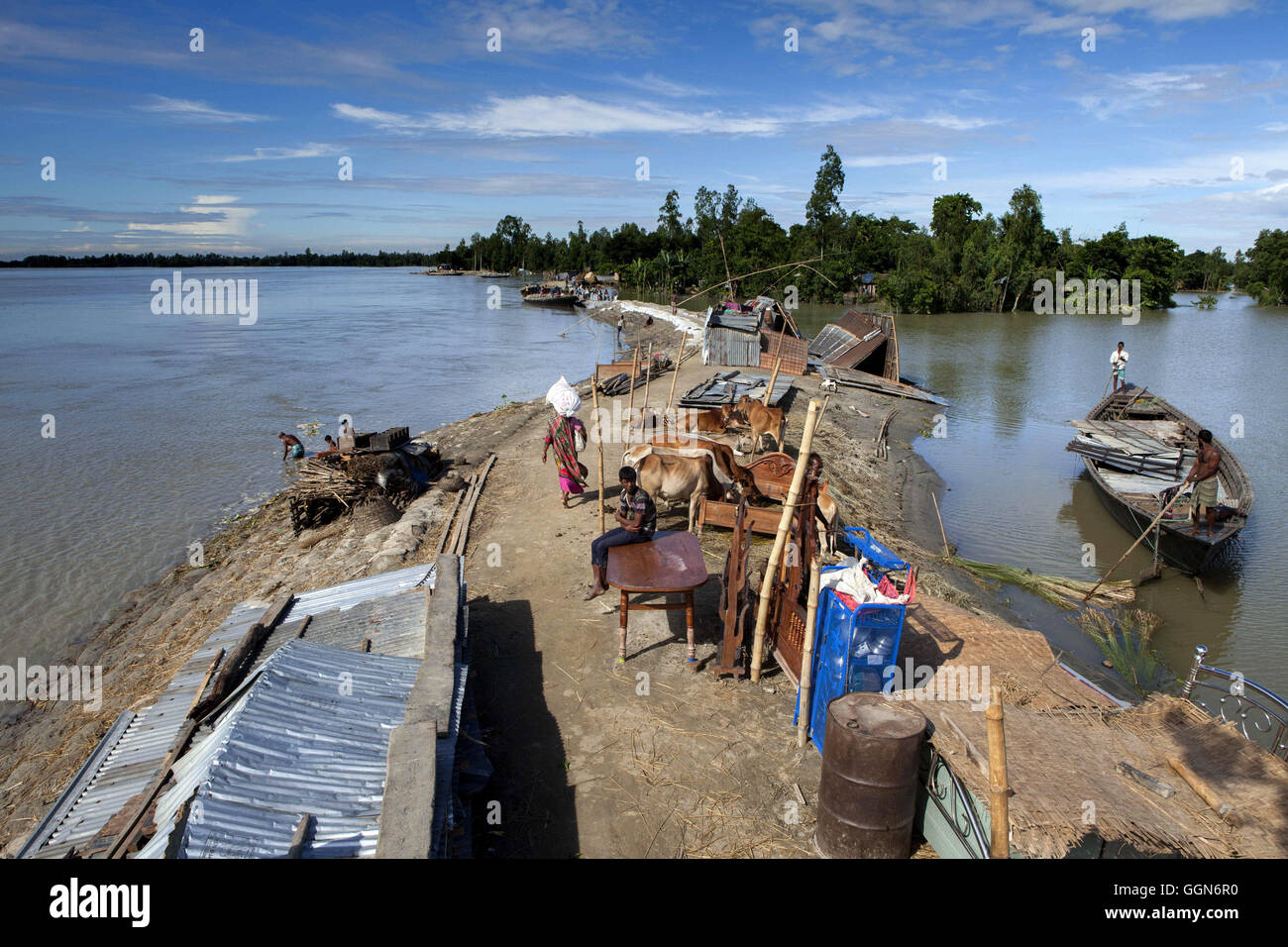 Dacca, Dhaka, Bangladesh. Il 3° agosto 2016. Agosto 03, 2016 - Gaibandha, Bangladesh '"' dopo aver lavato e hanno perso la loro casa dall'alluvione quando acqua rotto il un lato di questa diga persone rifugiarsi nell'altro lato di questa diga a Fulchori, Gaibandha. Il Bangladesh è stato colpito da devastanti inondazioni monsoni dalla metà di luglio. Cause del riscaldamento globale, la temperatura mondiale è in costante aumento e il 2015 è stato l'anno più caldo sin dal 1880 (Fig. 2). Secondo la NASA e NOAA, giugno 2016 era anche il mese più caldi rispetto alla temperatura del XX secolo. La gente povera Foto Stock