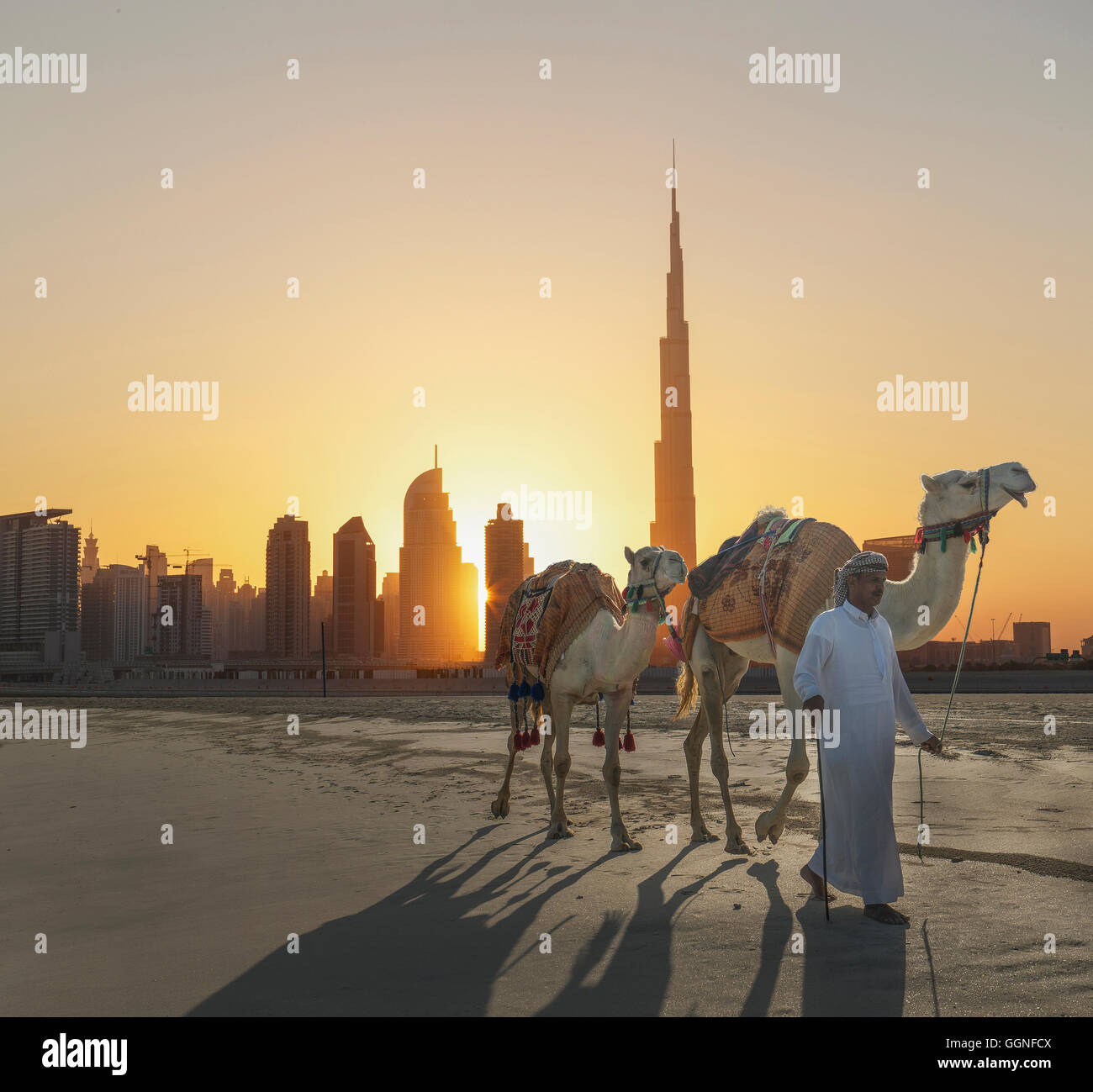 Medio Oriente a piedi man cammelli vicino alla città Foto Stock