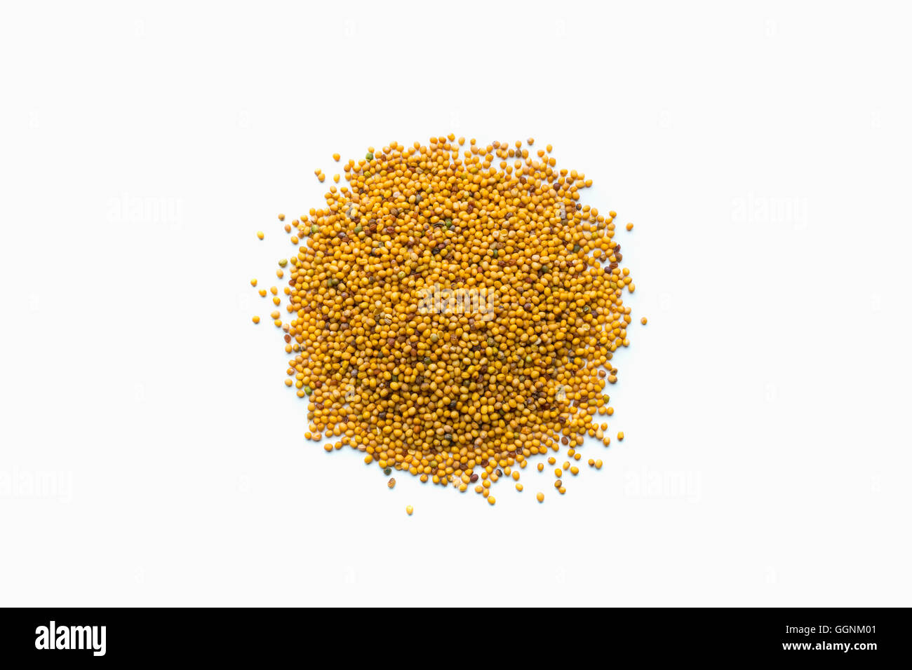 Pila di semi di senape in forma di un cerchio Foto Stock