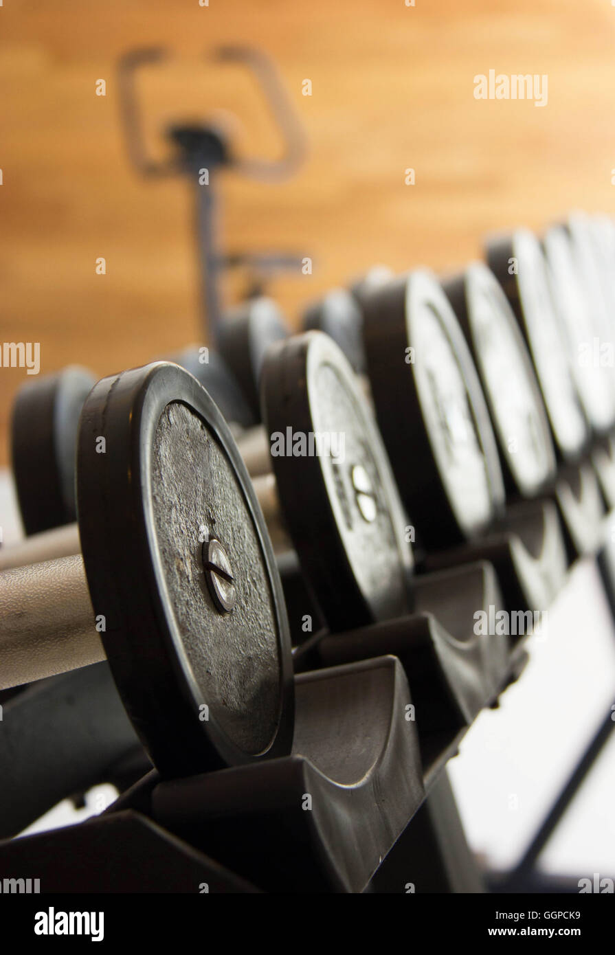 Chiudere l esercizio di Fitness attrezzatura pesi a manubrio. Foto Stock