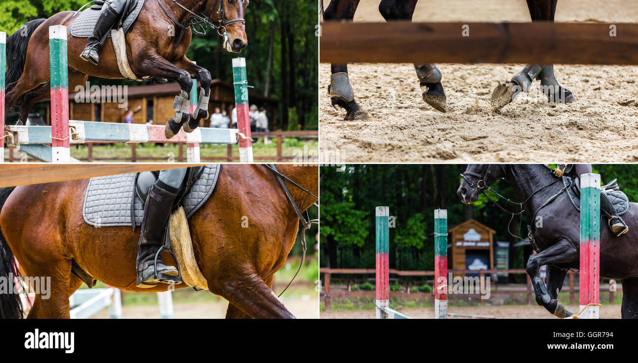 Collage di quattro foto, in sella ad un cavallo closeup Foto Stock