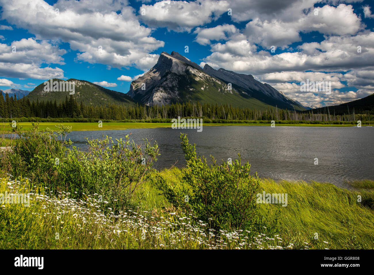 Mount Rundle e vermiglio laghi, il Parco Nazionale di Banff, Alberta, Canada Foto Stock