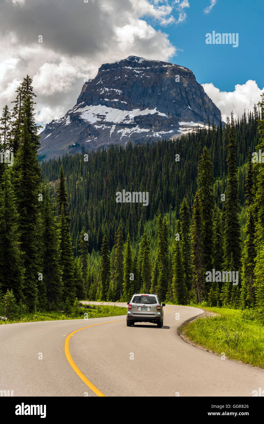 Strada panoramica, Parco Nazionale di Yoho, British Columbia, Canada Foto Stock