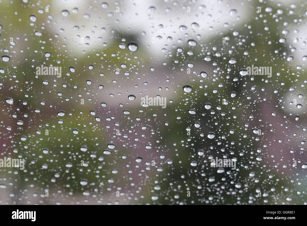 Gocce di acqua appollaiato sul vetro per la progettazione dello sfondo. Foto Stock