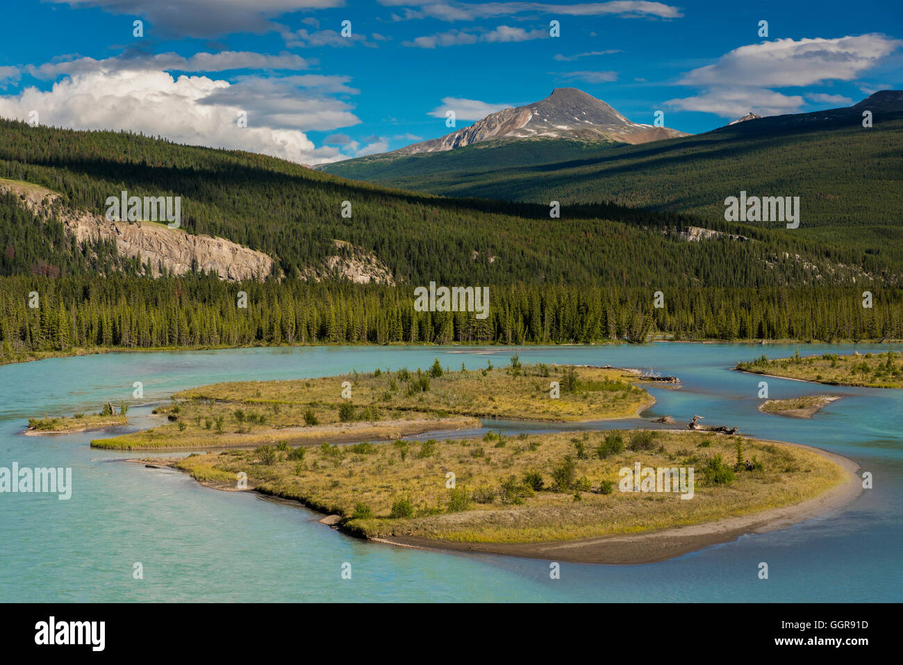 Athabasca River, il Parco Nazionale di Jasper, Alberta, Canada Foto Stock