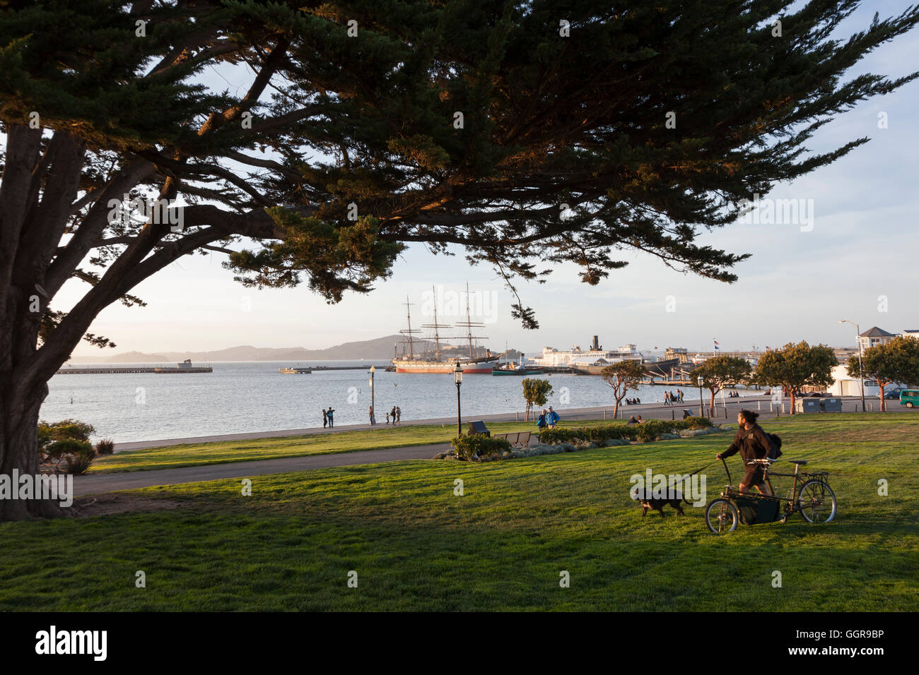 San Francisco, California: ciclista passeggiate con il cane sul lungomare a San Francisco Maritime National Historical Park. Foto Stock