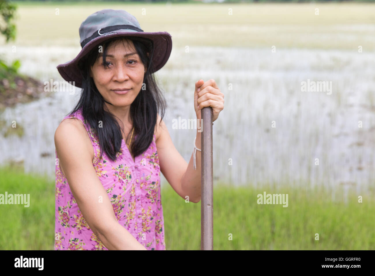 Donna che lavorano sul campo di riso con la zappa Foto Stock