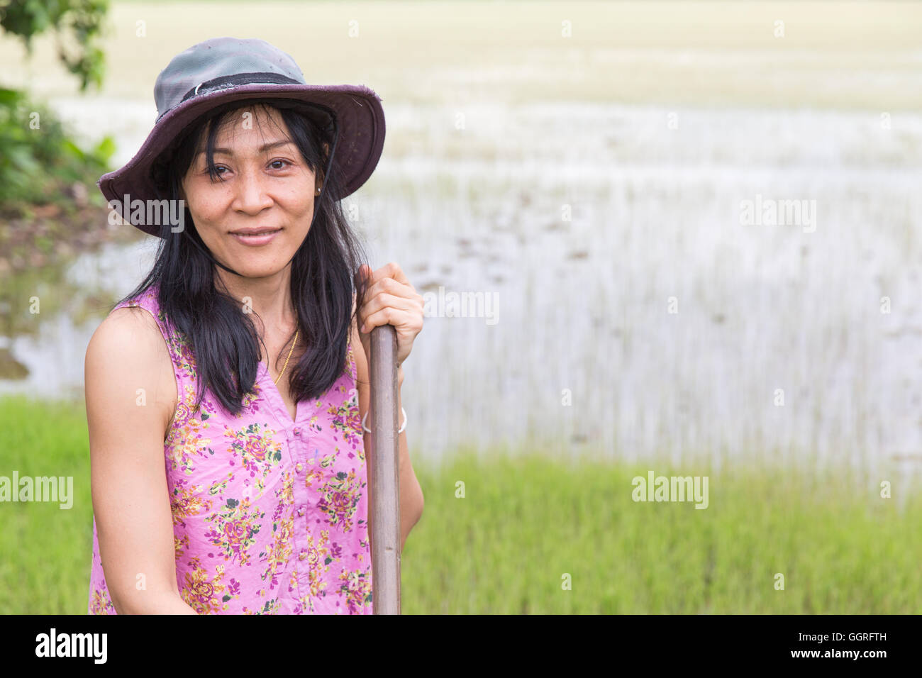 Donna che lavorano sul campo di riso con la zappa Foto Stock