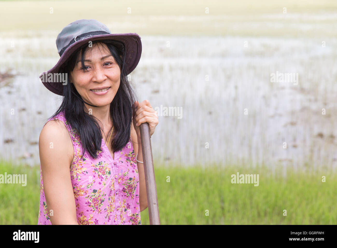 Donna che lavorano sul campo di riso con la zappa Foto Stock