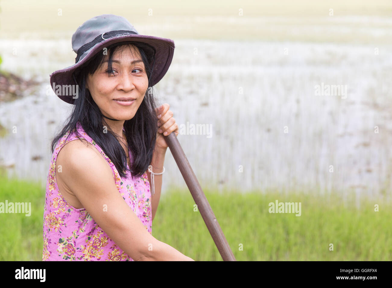 Donna che lavorano sul campo di riso con la zappa Foto Stock