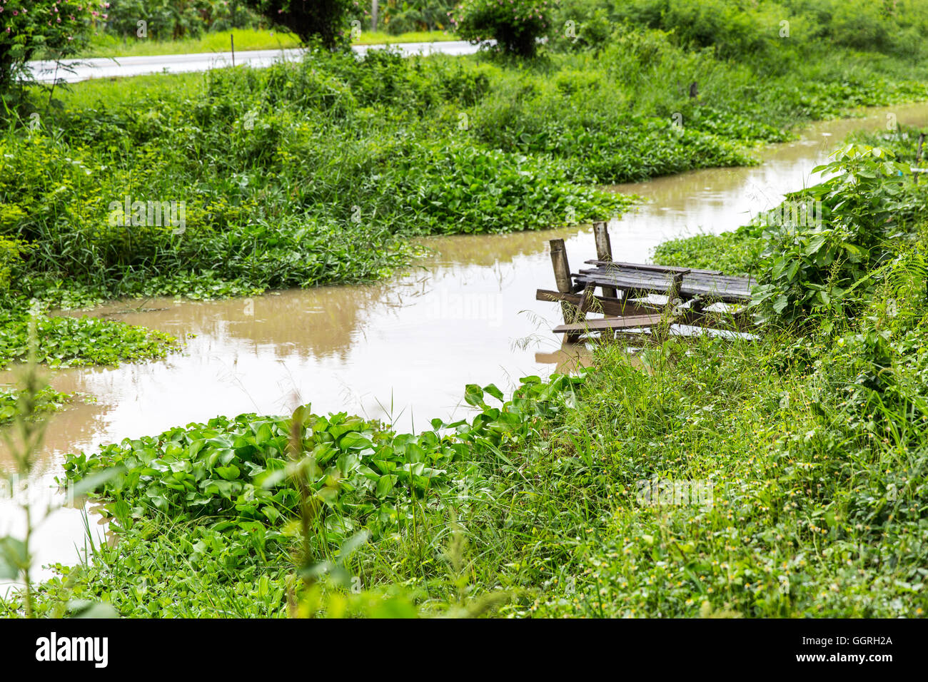 Piccolo sgangherato molo vecchio su terreni fangosi canal pianta verde edera overgrowth strada Foto Stock