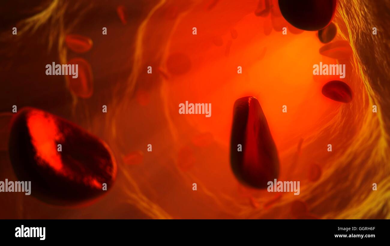 Illustrazione di cellule rosse del sangue che fluisce all'interno di una arteria o vena. I globuli rossi sono biconcava, a forma di disco che cellule di trasportare ossigeno dai polmoni a cellule del corpo. Essi circolano nel sangue e anche esportare il biossido di carbonio per i polmoni per espirazione. Foto Stock