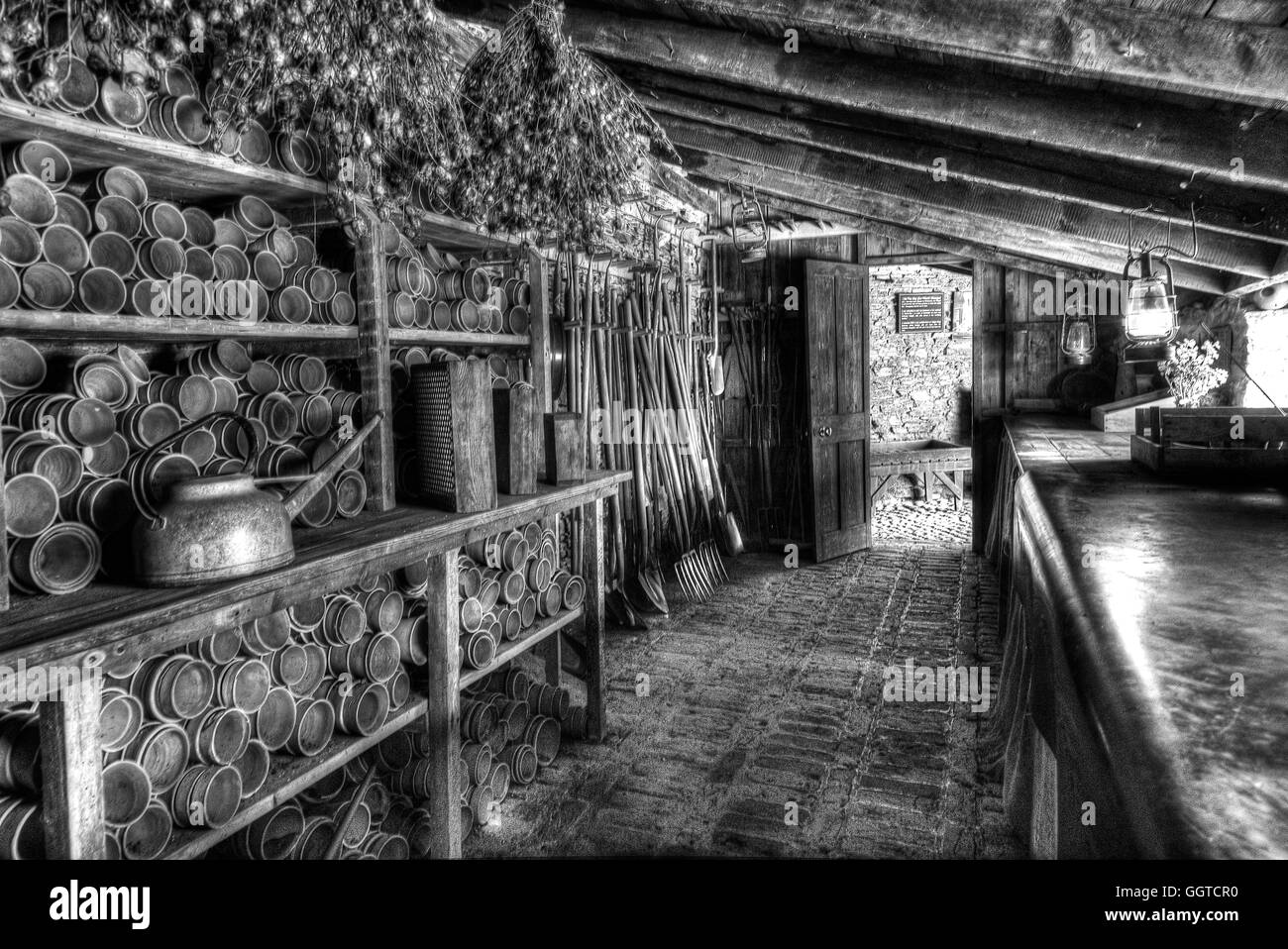 Il vecchio uomo di boschi Foto Stock