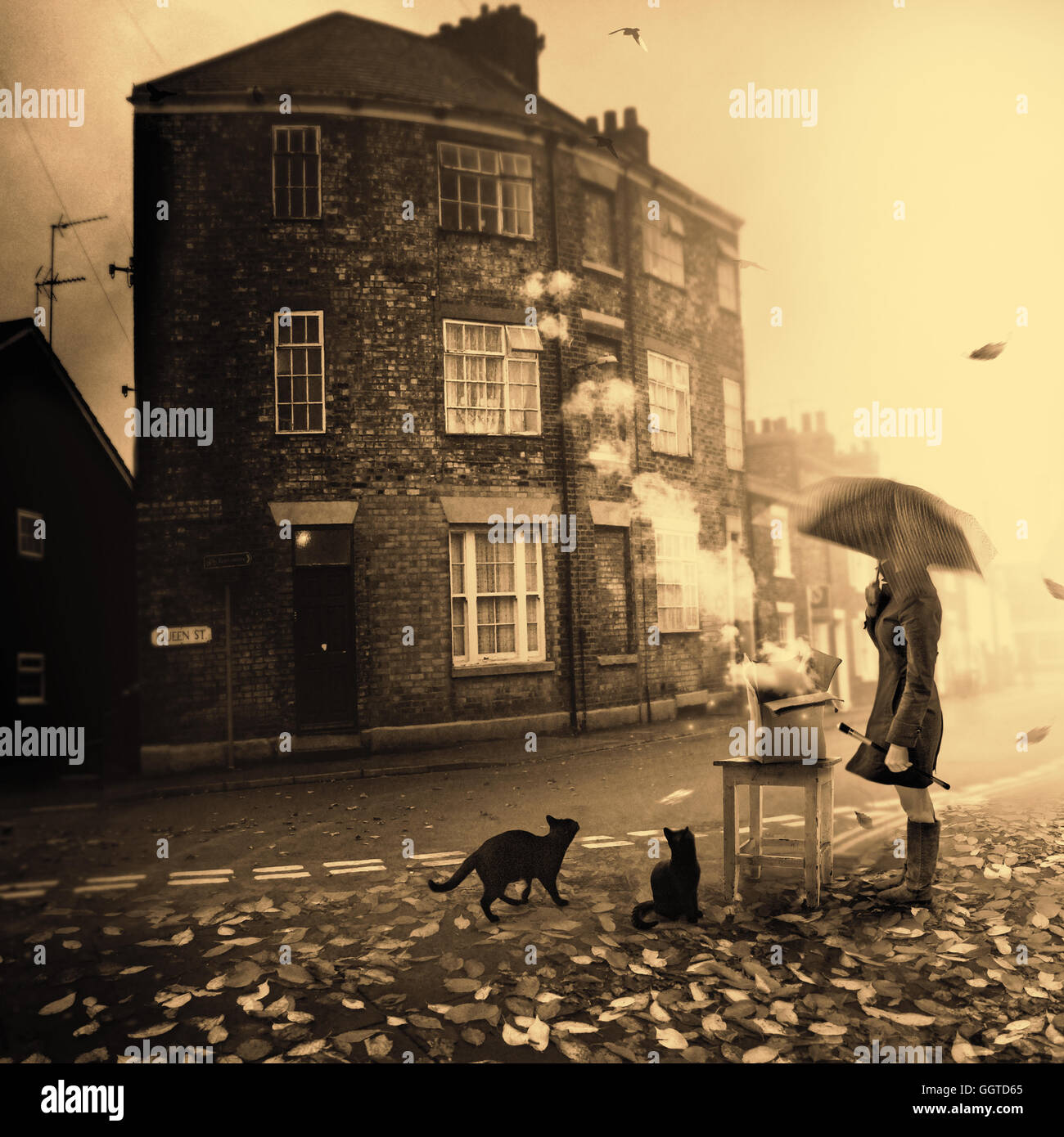 Immagine concettuale della persona sotto ombrellone in piedi in una metà della strada in città circondata da due gatti neri Foto Stock
