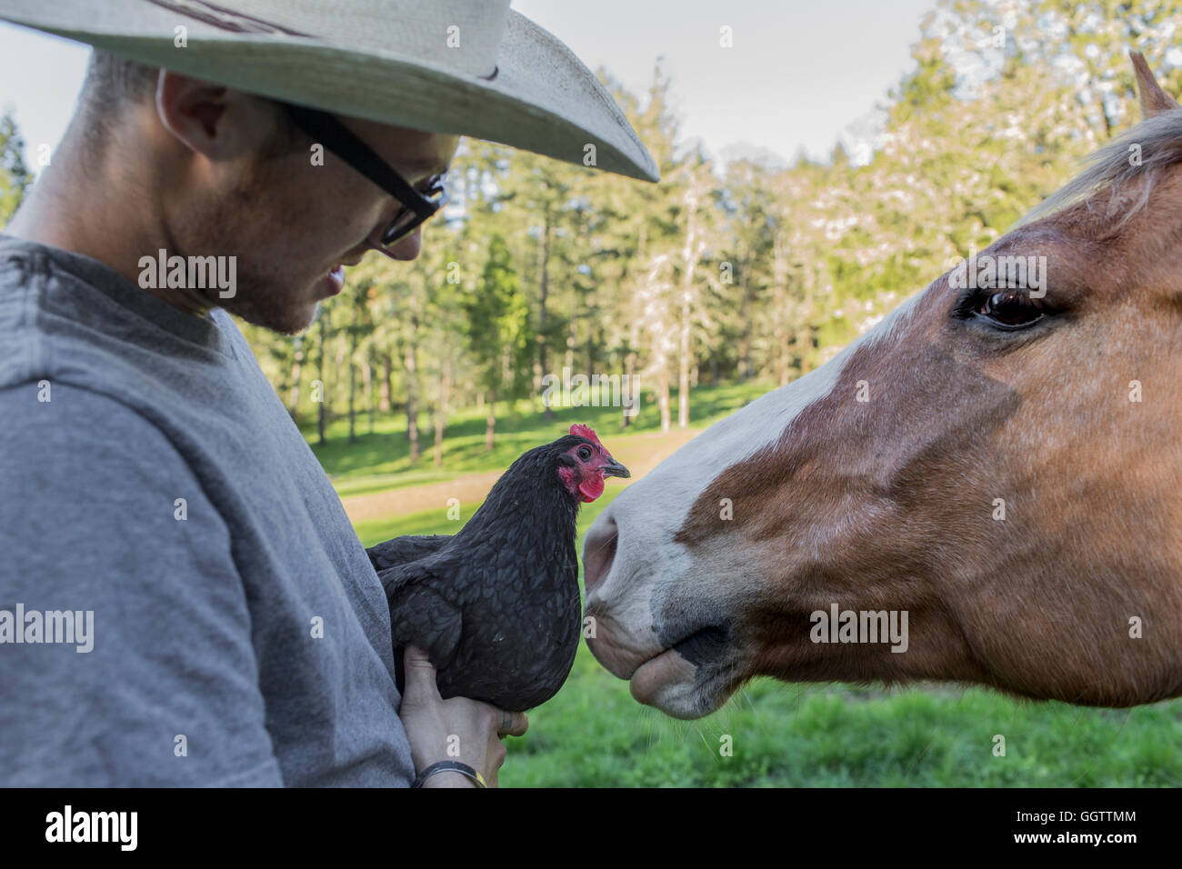 Caucasian l'agricoltore che detiene il pollo faccia a faccia con cavallo Foto Stock