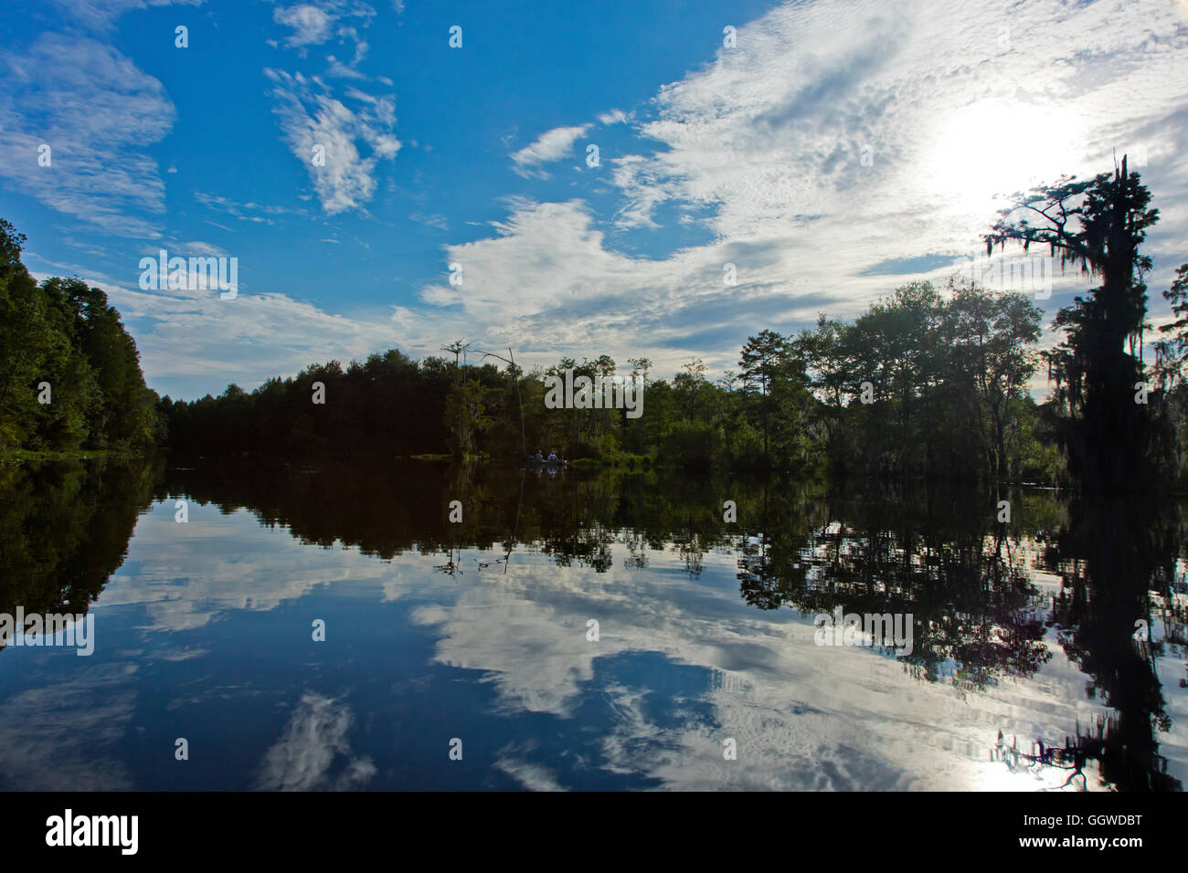 Il Okefenokee Swamp National Wildlife Refuge possono essere esplorati attraverso le sue vie navigabili - Florida Foto Stock