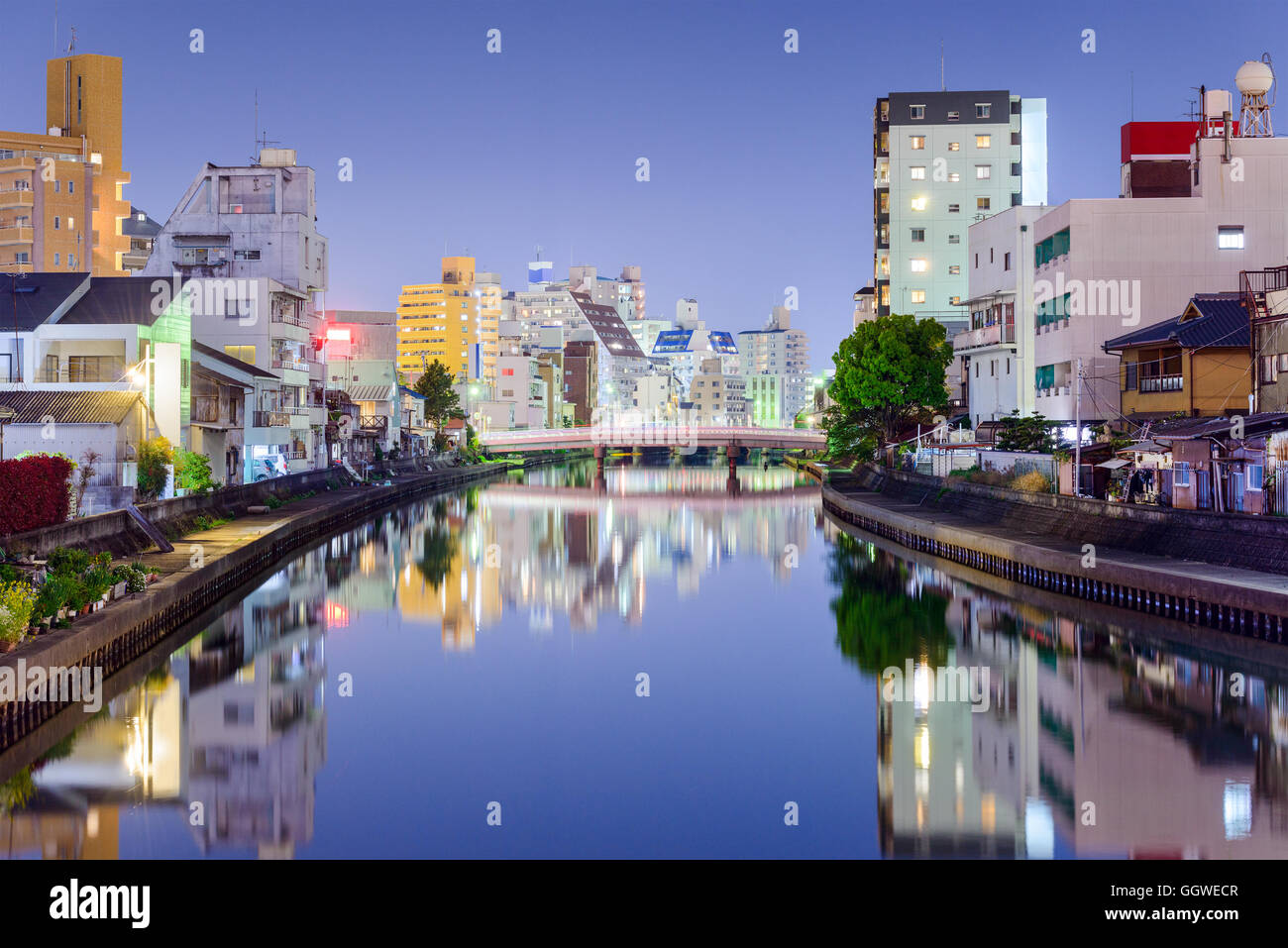 Wakayama, Giappone downtown skyline della città di notte. Foto Stock