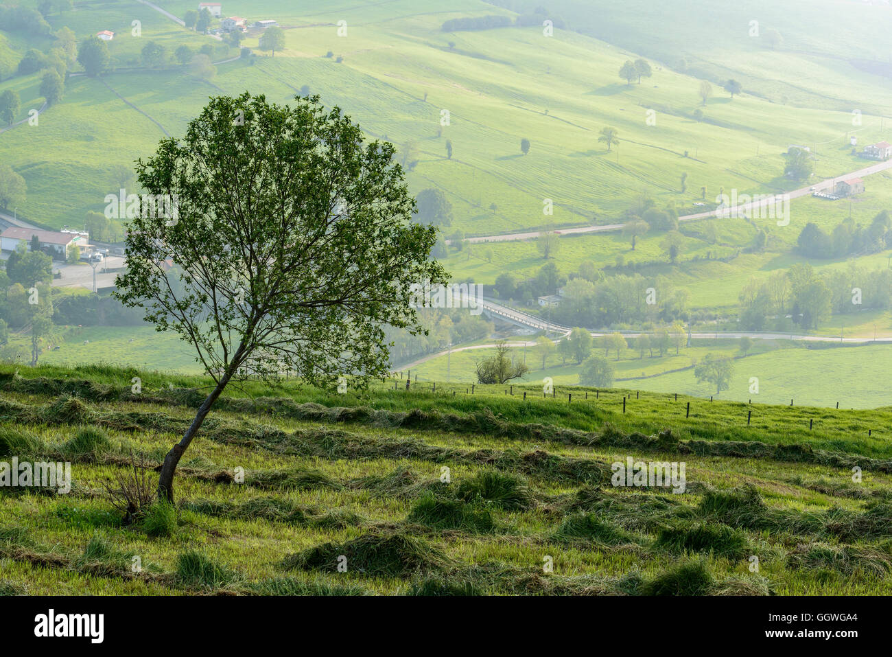 Vista dalla città di Abionzo, comune di Villacarriedo, Cantabria, SPAGNA Foto Stock