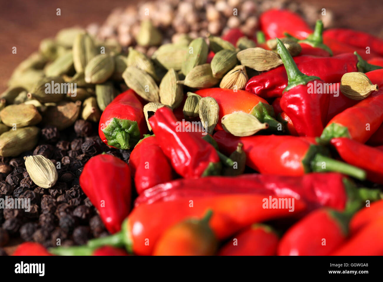 Un mucchio di peperoncini rossi, grani di pepe e i semi di cardamomo pronto per lo chef. Foto Stock